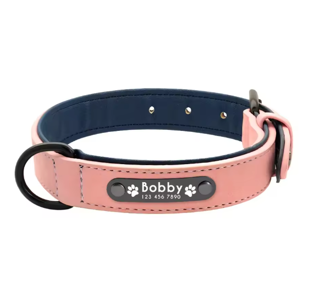 Personalized Engraved Dog Collar with Custom Name Plate
